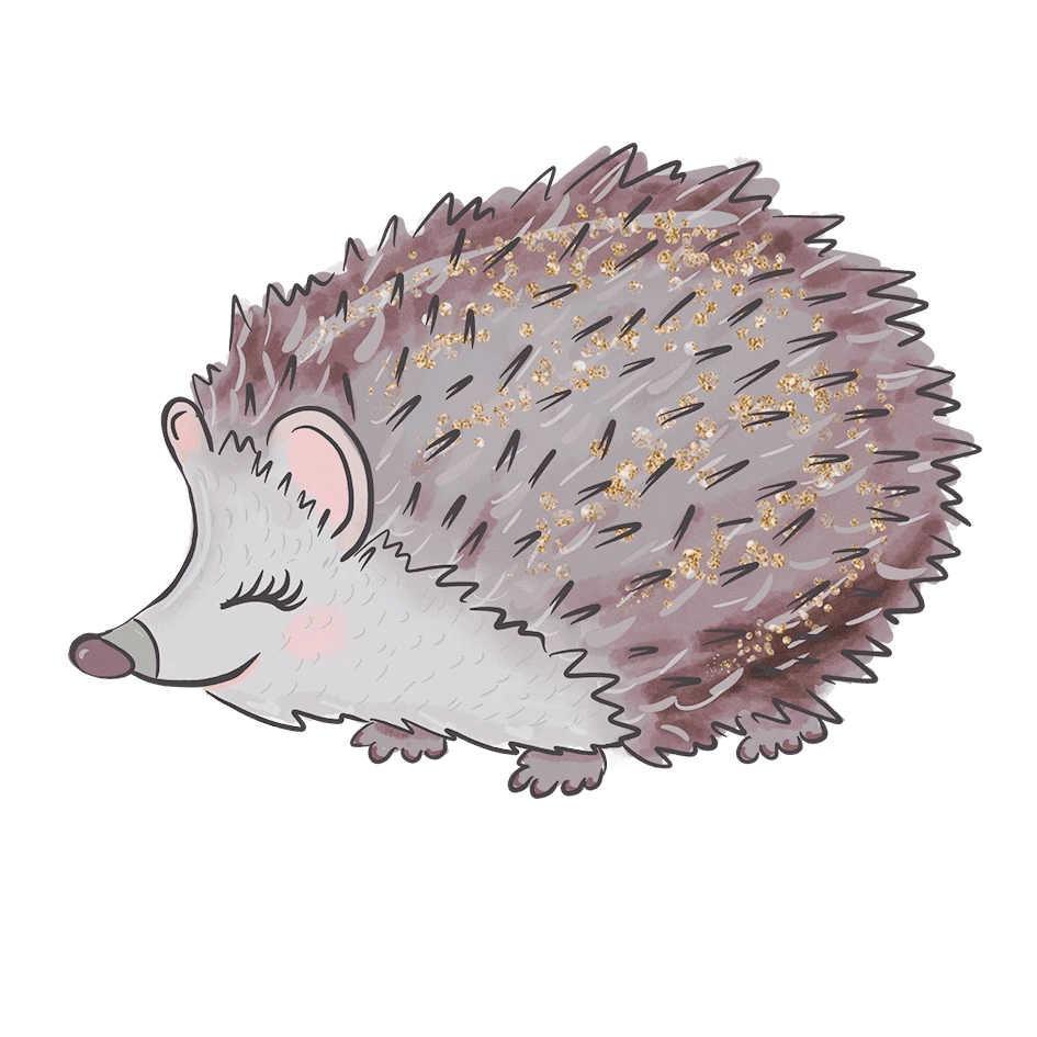 Hedgehog2 Auslan Hub Auslan teaching resources and training
